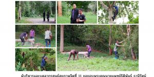กิจกรรมปรับปรุงภูมิทัศน์ 27 พย 68