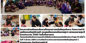 การส่งเสริมพัฒนาการและสร้างวินัยเชิงบวก (Triple-P) 05032569